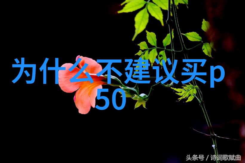 最新手机排行榜2023年天黑跳绳的智者们请挥动你们的手指75派智能跳绳在此召唤你加入公益挑战赛让我们