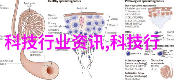 AI技术闪光灯下摄影师镜头前是否人机共舞