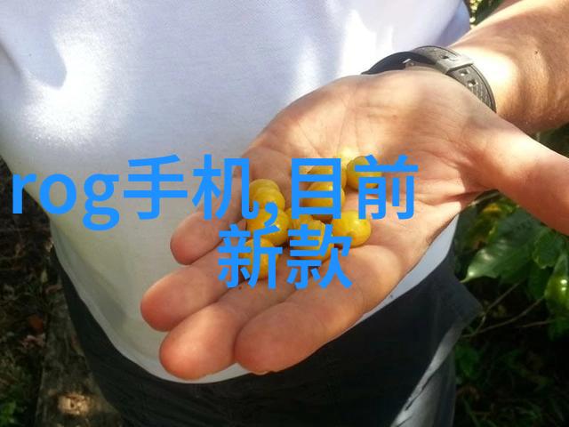 经典之韵蜂鸟人像摄影的艺术魅力