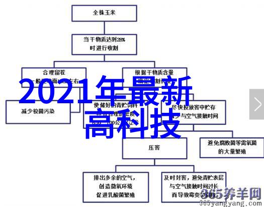 房屋装修设计效果图 - 梦幻居所精心打造的完美家居装修效果图