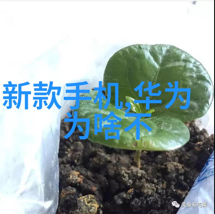 机器智慧的终极考验AI结局探究