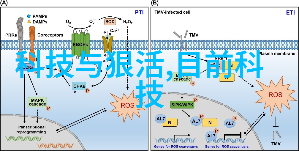 在数字时代我们如何保护和传承历史科学知识