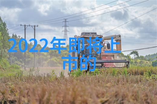 旧房改造经济效益优化策略研究以最小成本实现居住舒适度提升