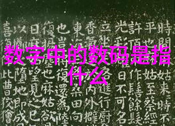 镜头下的中国探索摄影大赛的艺术与故事