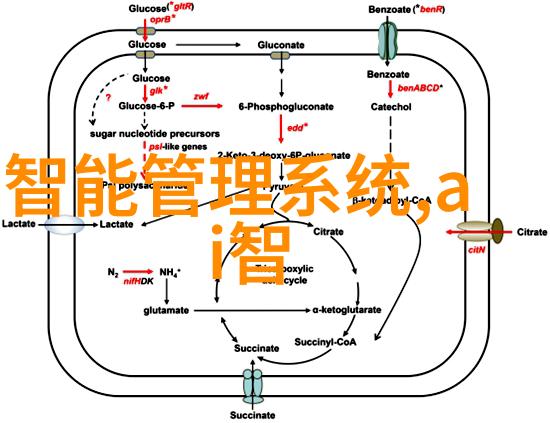 摩天人我的城市之歌