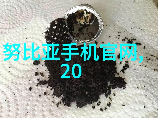 中策装饰的守护者防水大师的十大智囊团揭秘防水材料之谜与技艺