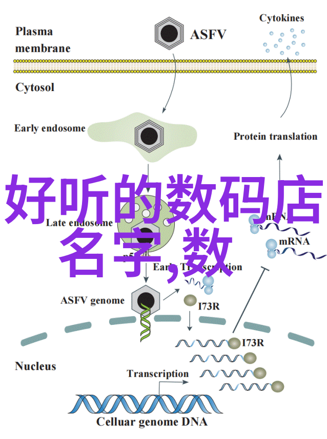 科技玩具-智能机器人探索者未来的学习伙伴