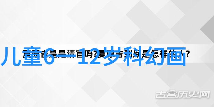 安全之城防御与和谐的双刃剑