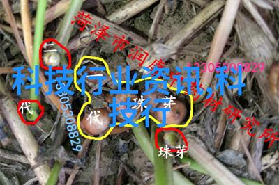 乳香诱人(高H)隐欲我如何被这款香水迷住从无意中发现的诱惑