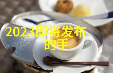 新闻摄影实战指南