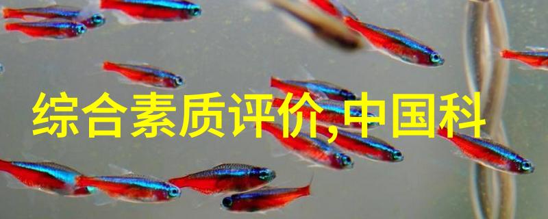 新房子装修的流程我是怎么一步步把家变成家的