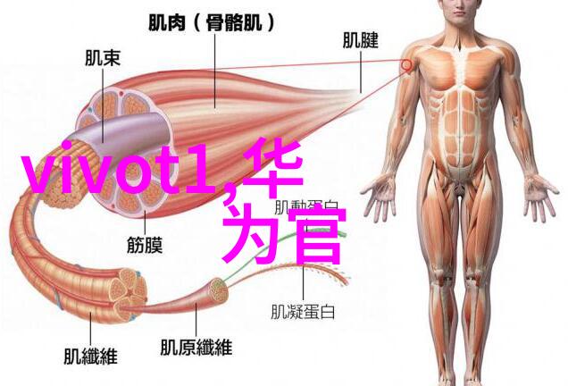 国家认可的手机检测机构确保智能设备安全与质量的坚强保障