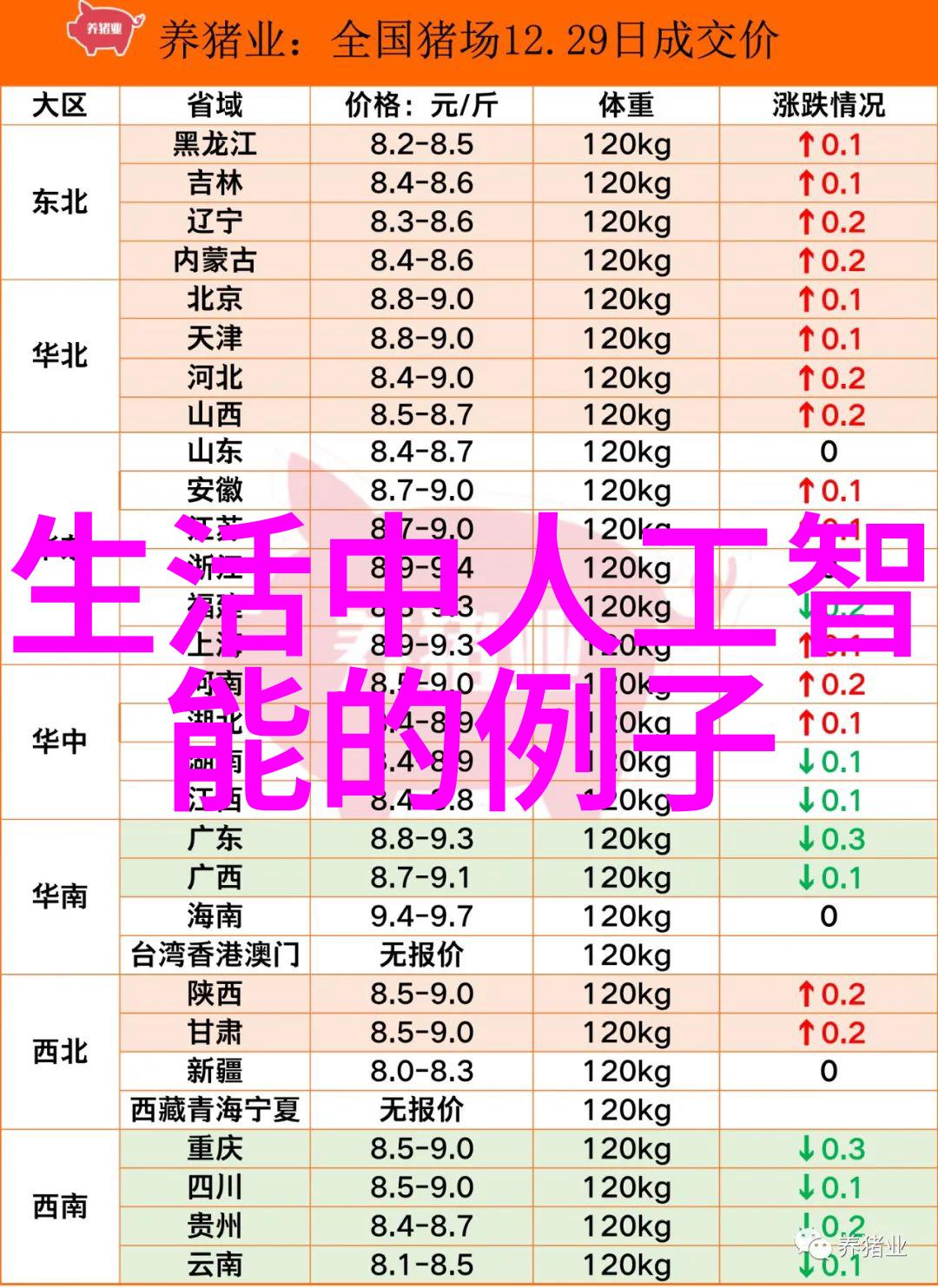 九艺装饰 - 绚彩生活九艺装饰带来全新家居风尚