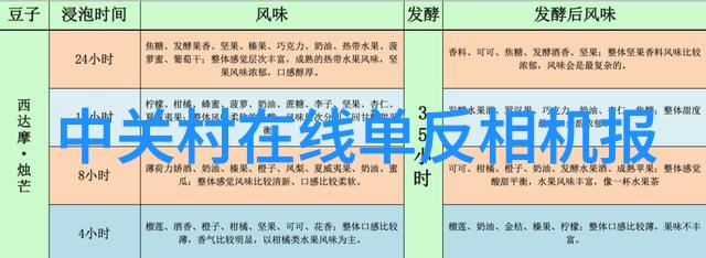 数码宝贝03樱花动漫日语版-探索数字世界的新篇章樱花之旅的开始