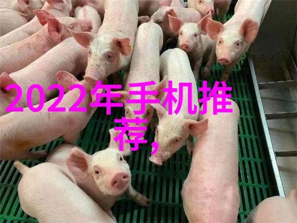 春莺啭蜜姜一对情侣的甜蜜与挑战