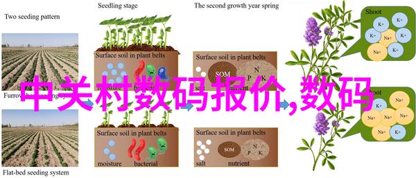 从简到繁家具布局艺术家庭装修中怎样设计出理想的生活空间