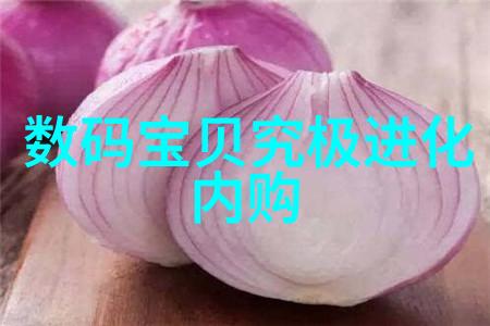 数码之家无线监控系统革新安全管理