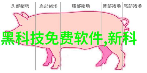 数码摄影艺术入门从基础操作到创意拍摄技巧的全方位教程