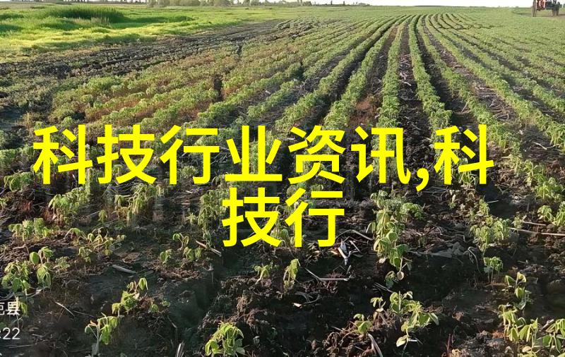 在数码宝贝的新征程中国语全集带来怎样的精彩故事和深刻启示