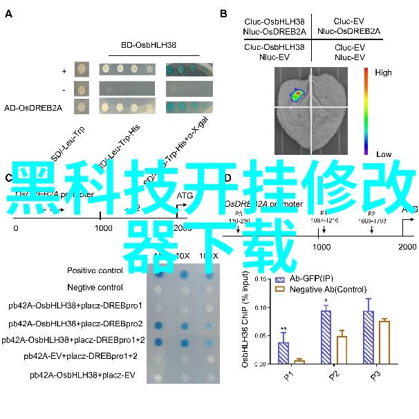 镜头前摄像艺术的探索与实践