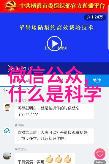 蹲便器的文化演变与现代化转型