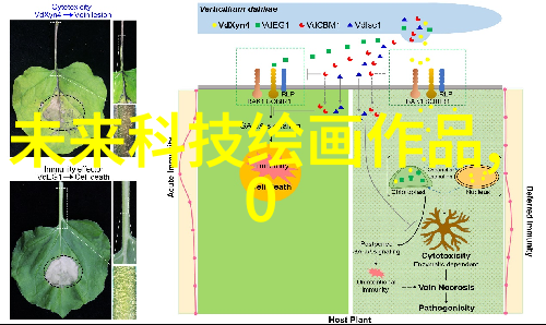 塞了六颗荔枝一个夏日午后的懒散故事