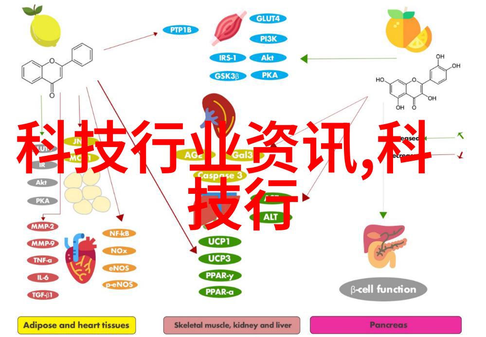 错孕逃妃-逆袭之错孕逃妃从宫廷到商界的传奇