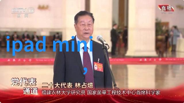 工作总结汇报材料范文我这段时间的努力与成就简直要把自己的心情都表达出来了