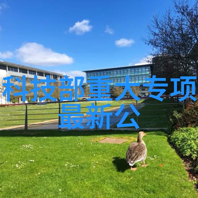 北大青鸟职业技术学院学霸们的飞翔学校