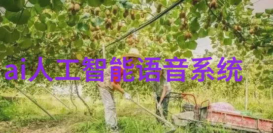 芯片技术助手ChatGPT能为流量做到何种神奇