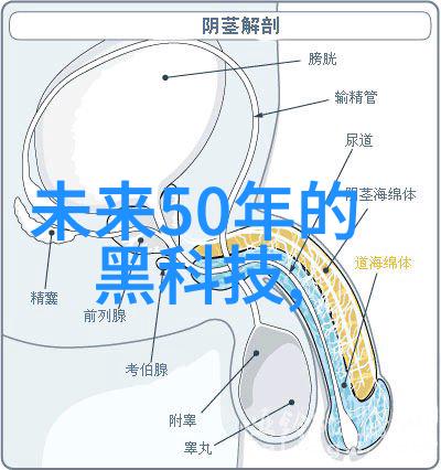 人工智能技术创新AI科技前沿发展方向