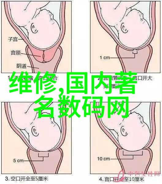 六月雪花语冰凉诗意下的夏日缤纷