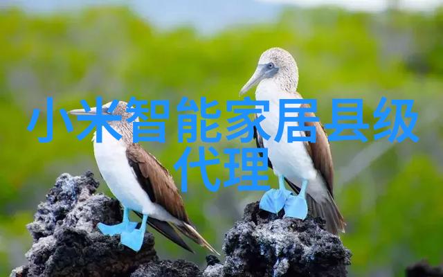 生物科技新星CRISPR基因编辑技术的奥秘与挑战