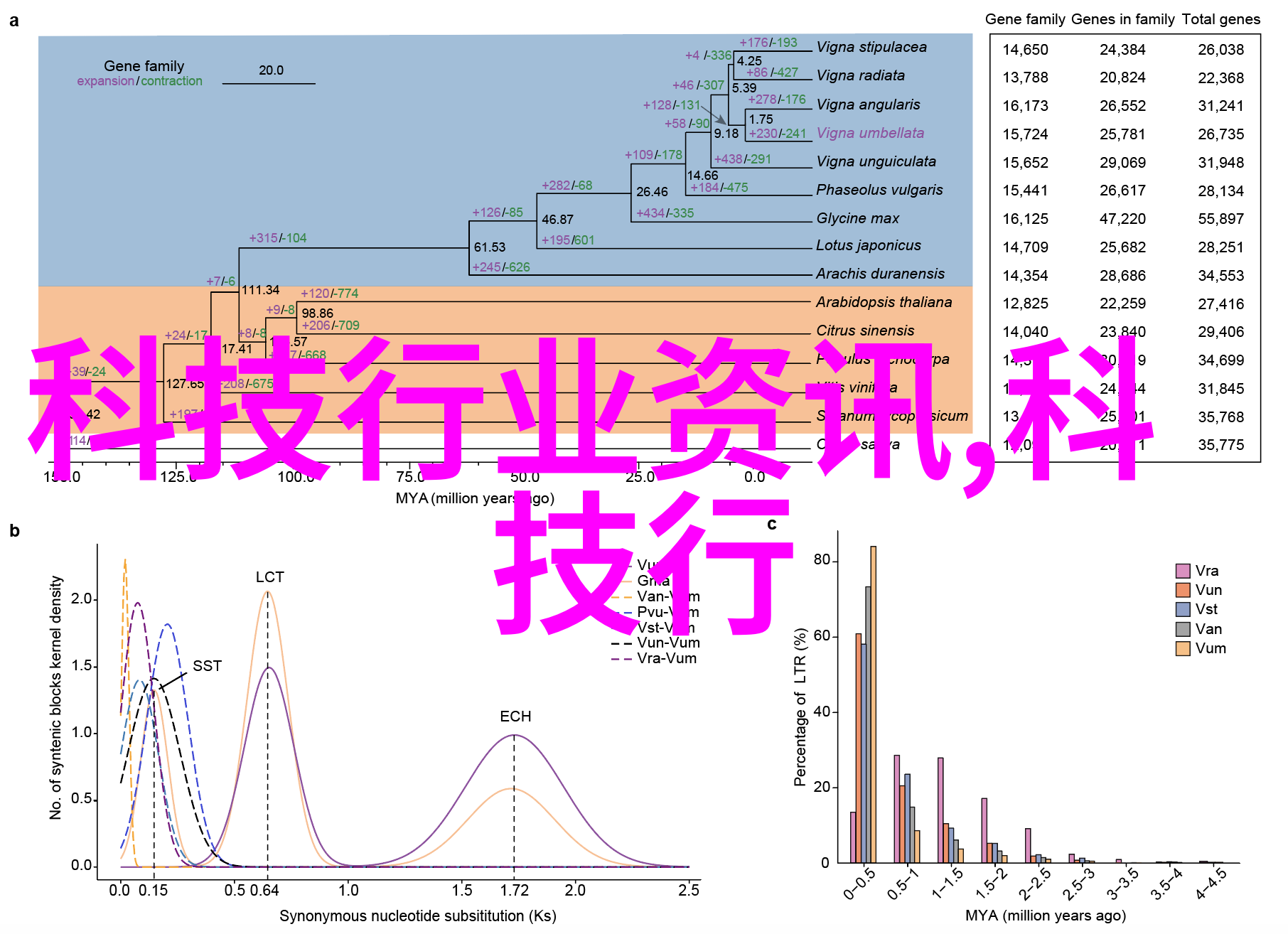 触网新篇章智能手机中关村的数字梦想