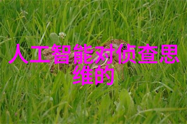 风信子花语传递温柔的语言