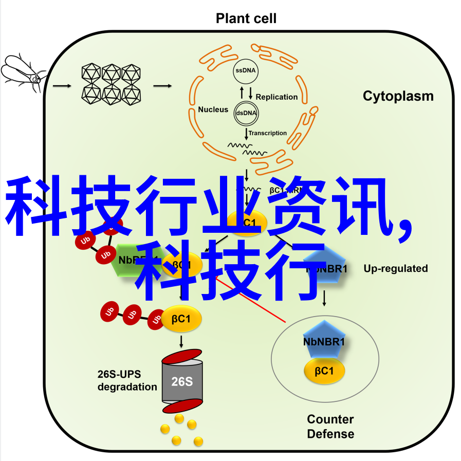 女性化设计背后的科学原理