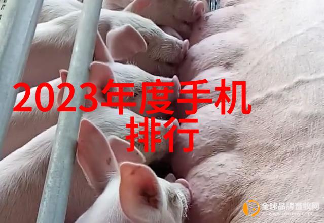 单反新手必备2023年最受欢迎的入门级相机