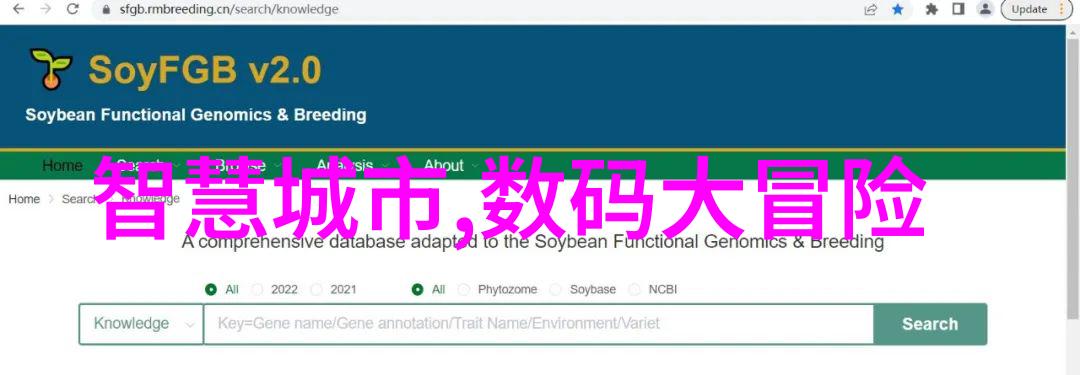 数字奇迹十位数码宝贝的魅力之冠