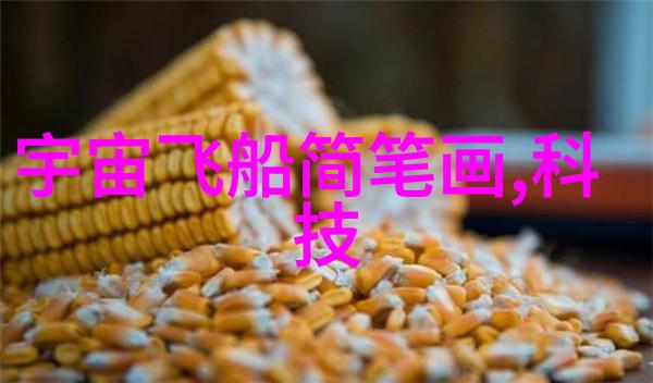 张鹭研究探索其在中国现代文学中的独特风格与社会批判意义