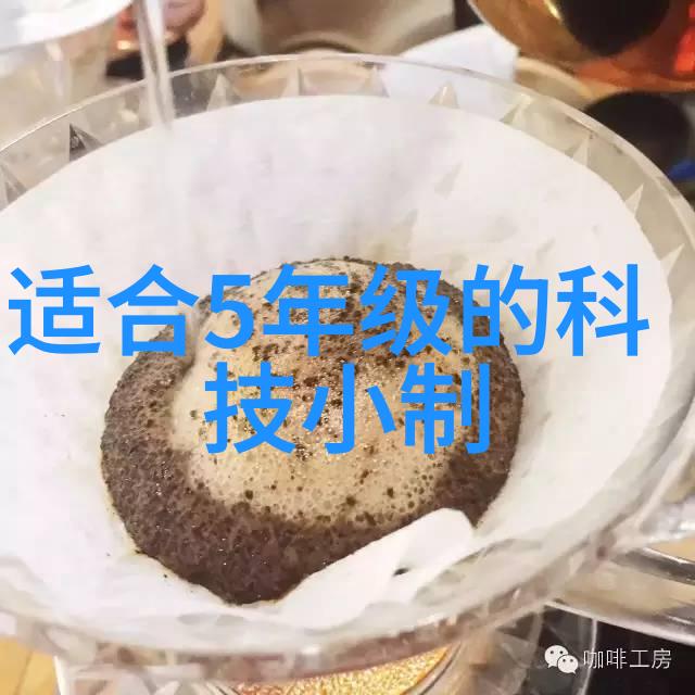 不锈钢陶瓷填料-耐腐蚀的绿色环保选择提升工业洁净处理效率