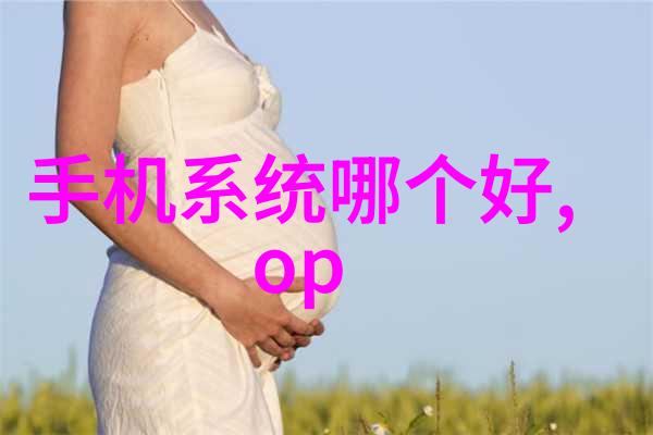 筛分机-揭秘筛分机的原理与应用