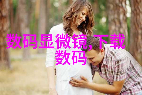 探索厨房吊顶装修的艺术之谜如何创造视觉盛宴