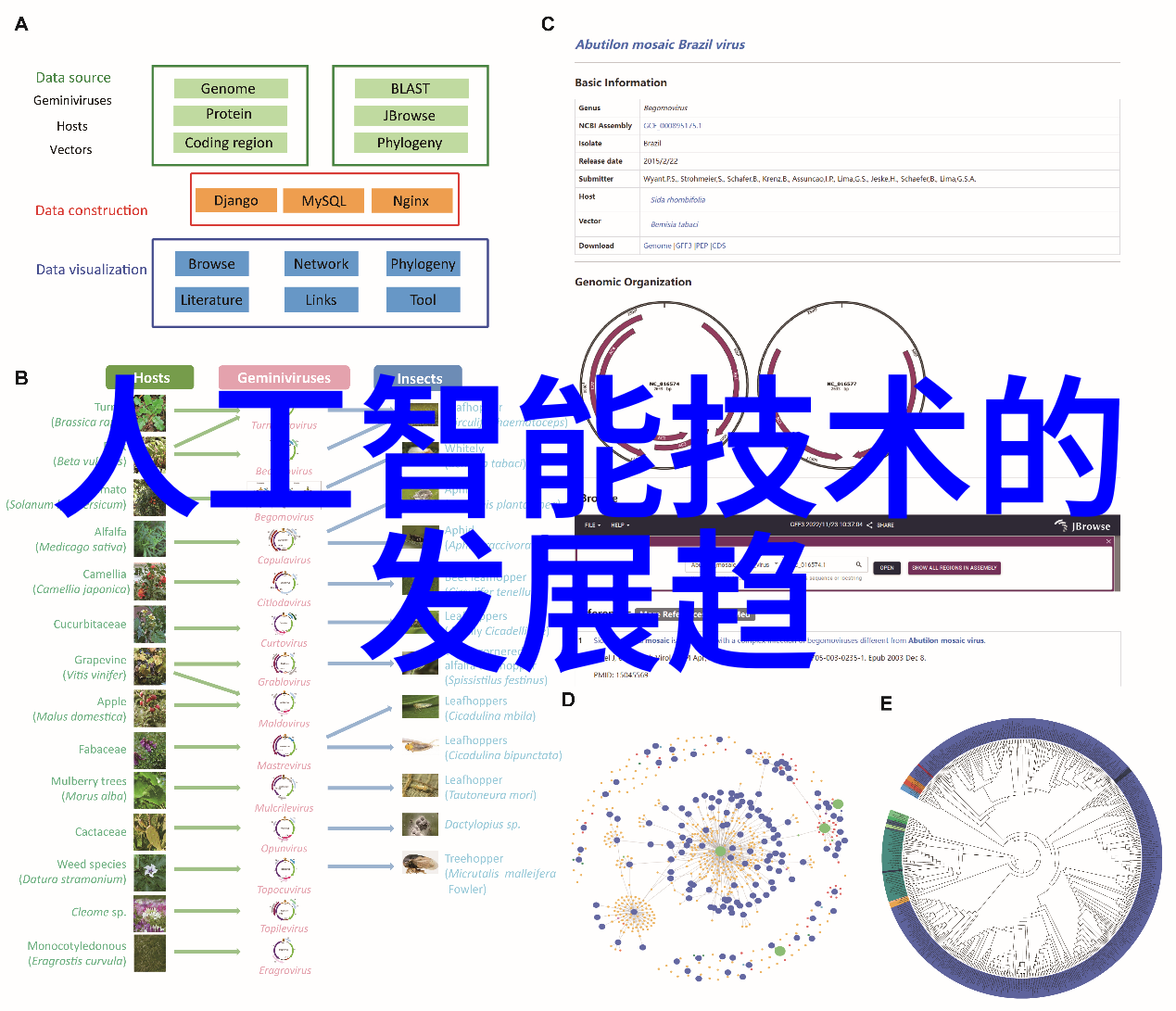 科技馆之谜揭开中国创新之门的神秘面纱