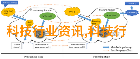 未来智慧人工智能时代的新纪元