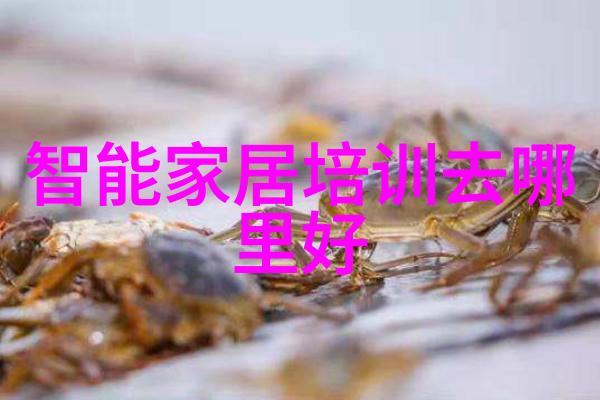 计算机视觉技术概览与实践