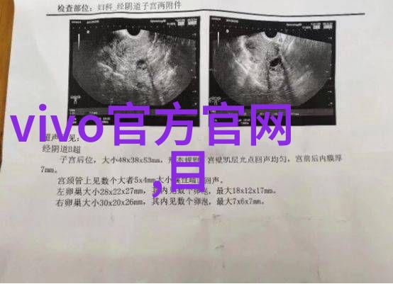 汲取数据的智慧如何在汇报工作总结中展现关键信息