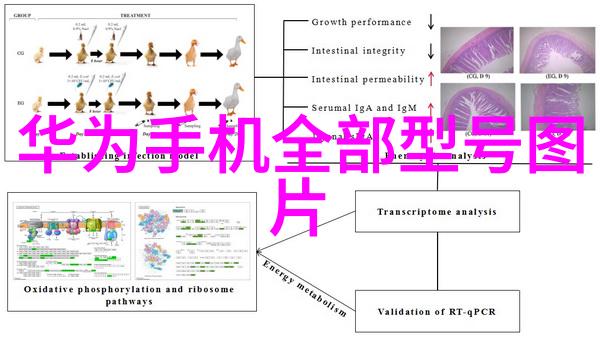 铁管中的秘密