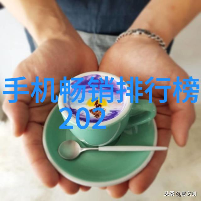 芯片制造的奥秘揭秘制作流程与原理