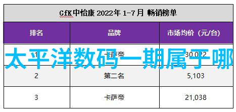 应对挑战与风险在申请过程中个体该如何应对可能出现的问题