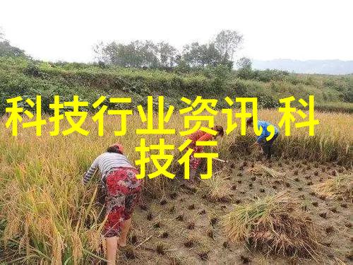 古典文学-掌中雀BY弃吴钩捕捉心灵的飞舞